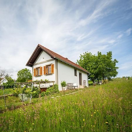 Weinlofts Weinloft I Βίλα Edlitz im Burgenland Εξωτερικό φωτογραφία