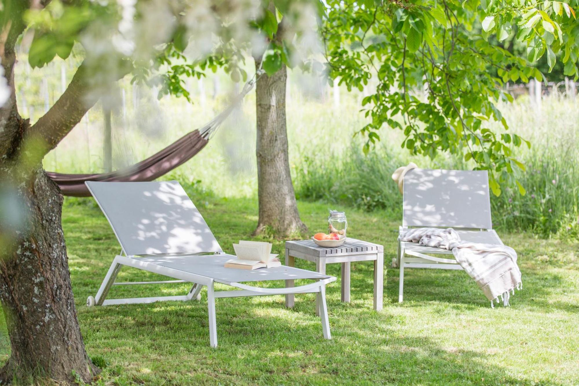 Weinlofts Weinloft I Βίλα Edlitz im Burgenland Εξωτερικό φωτογραφία