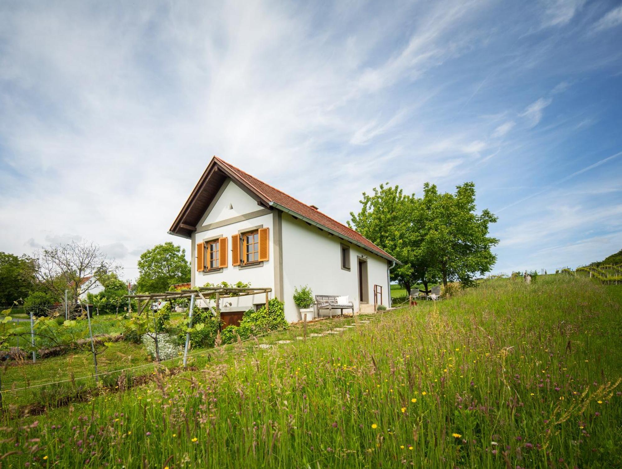 Weinlofts Weinloft I Βίλα Edlitz im Burgenland Εξωτερικό φωτογραφία