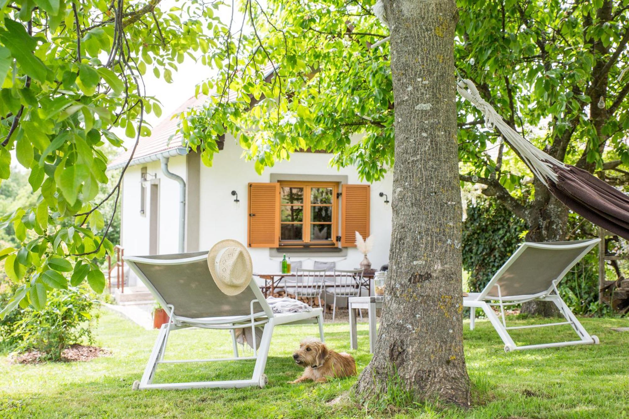 Weinlofts Weinloft I Βίλα Edlitz im Burgenland Εξωτερικό φωτογραφία