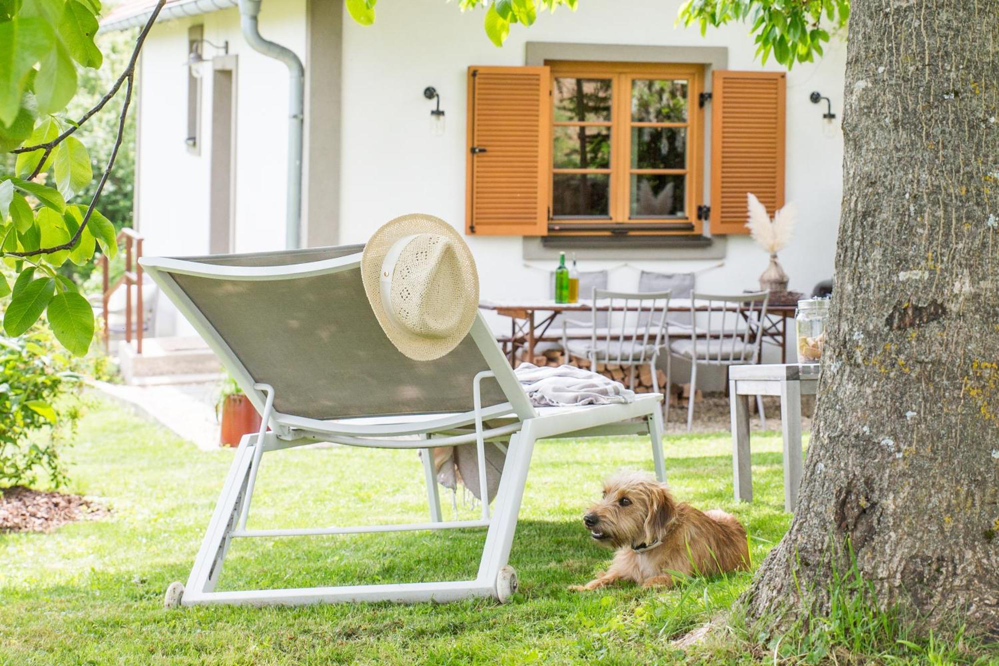 Weinlofts Weinloft I Βίλα Edlitz im Burgenland Εξωτερικό φωτογραφία