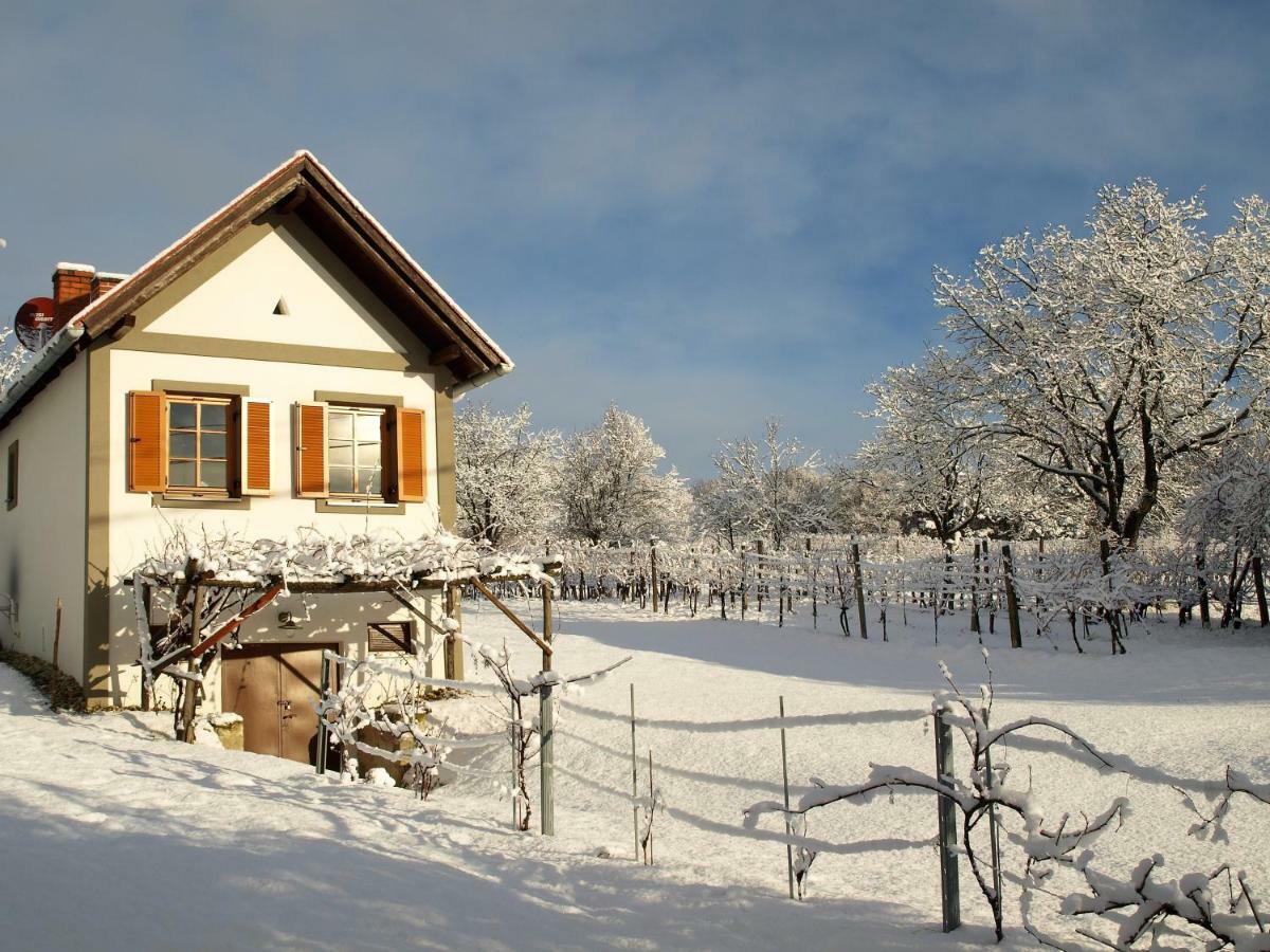 Weinlofts Weinloft I Βίλα Edlitz im Burgenland Εξωτερικό φωτογραφία